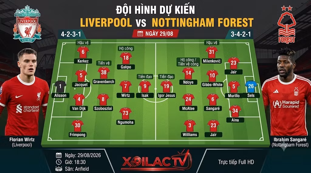 Sơ đồ đội hình dự kiến ra sân trận Liverpool vs Nottingham Forest vòng 2 Premier League.