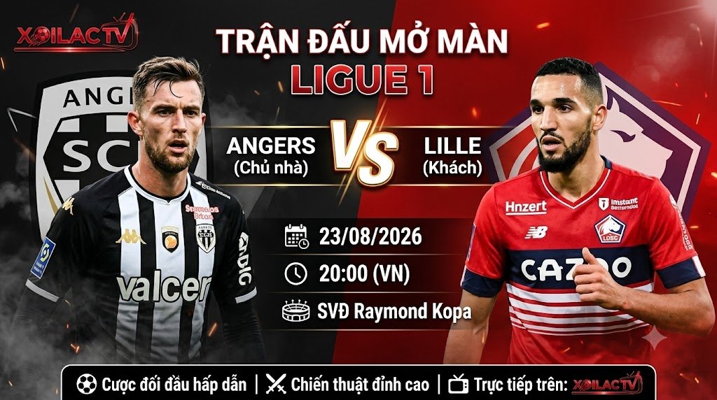 Nhận định, soi kèo trận đấu Angers vs Lille 20h00 ngày 23/08 - Trực tiếp bóng đá Xoilac TV